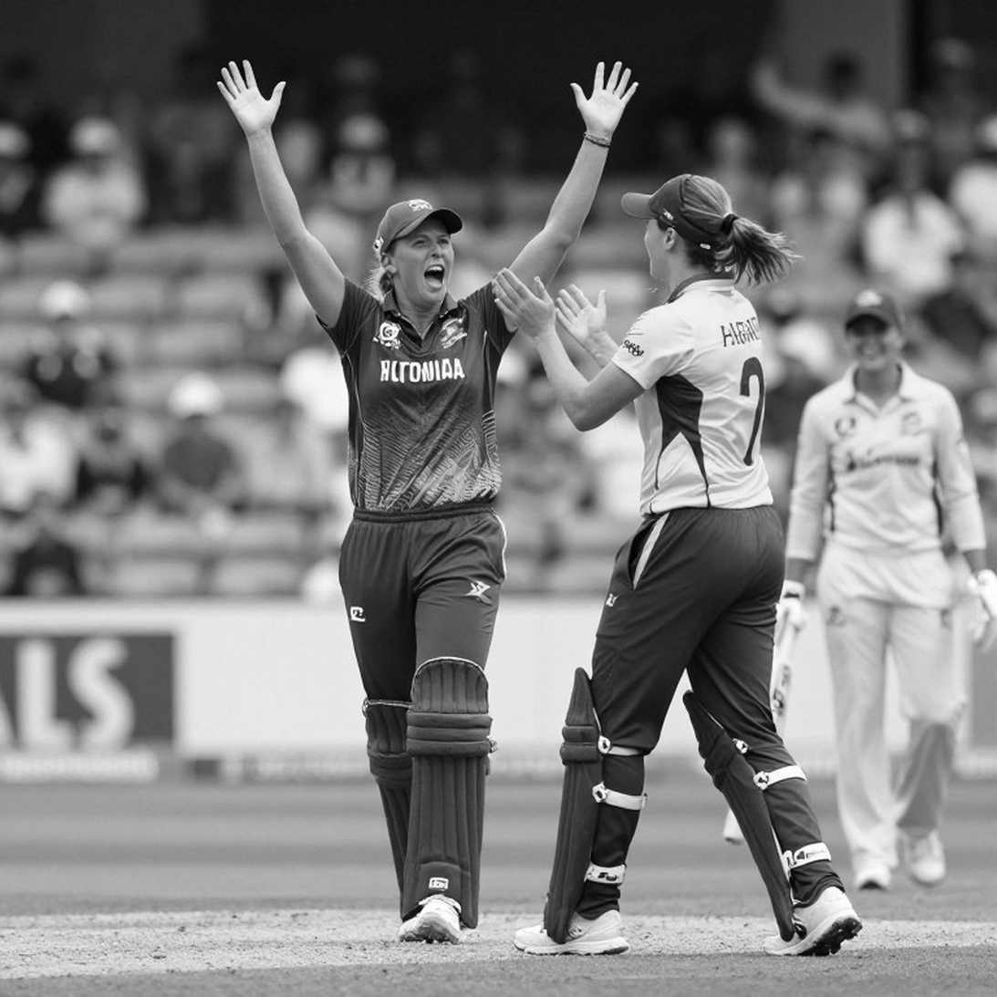 The Testimony of Empty Data: A Protocol for Silence in Cricket Analysis